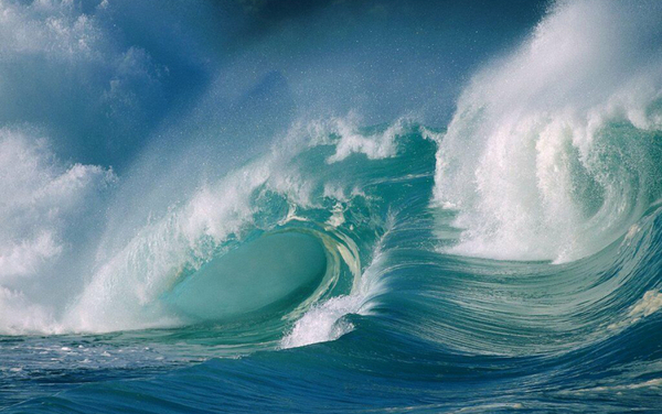 Le meraviglie dell'oceano