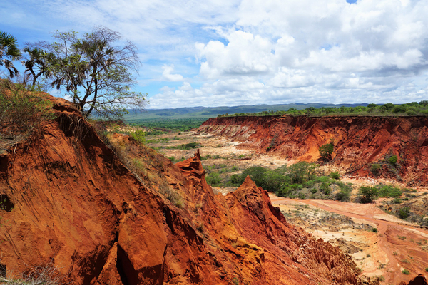 Madagascar: l'isola rossa